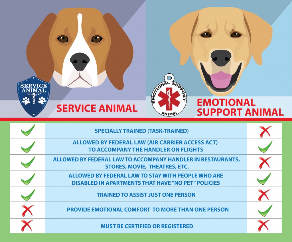Service Dog vs. Emotional Support Dog