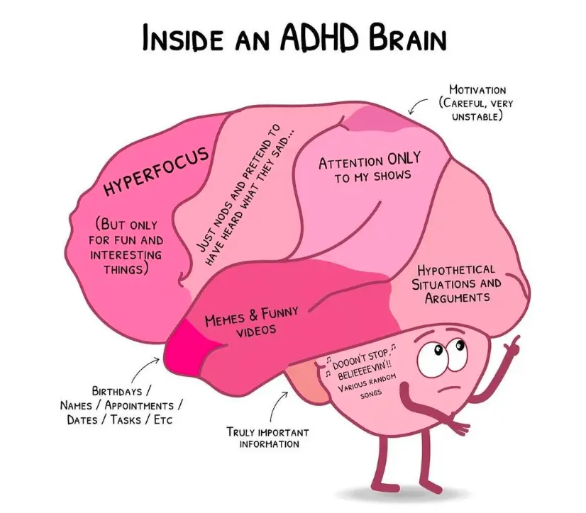 ADHD Brain