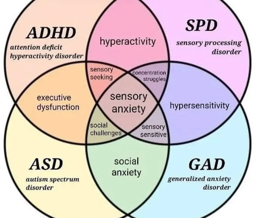 ADHD anxiety autism